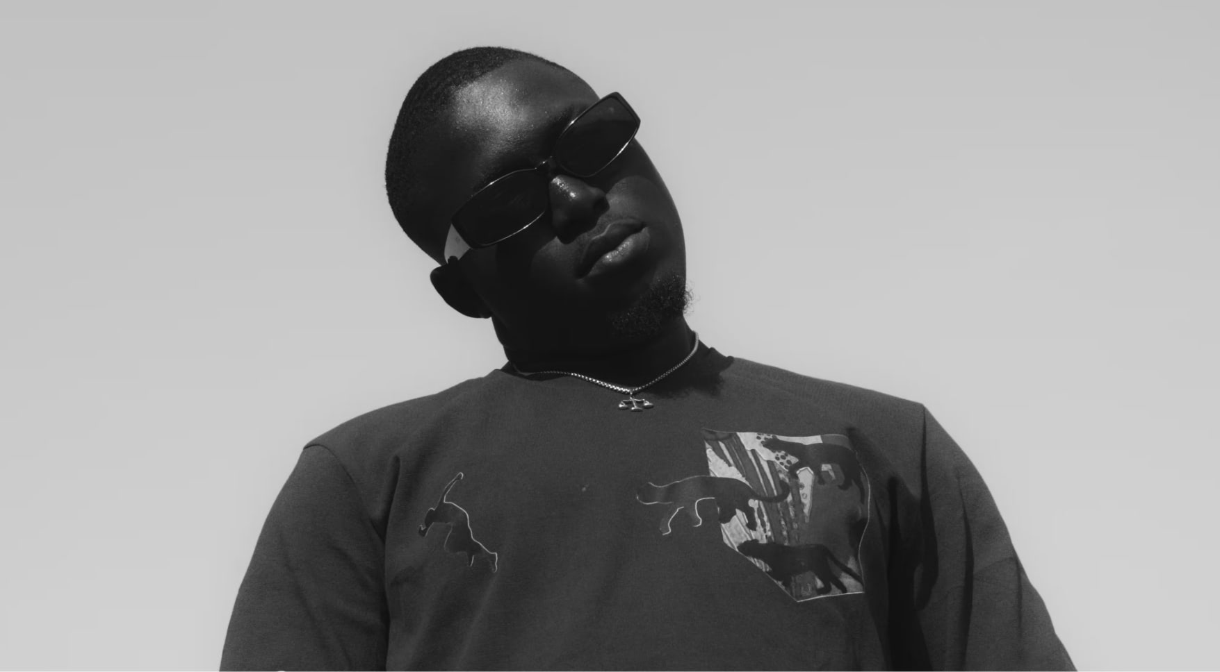 Aliquam erat volutpat phasellus eget